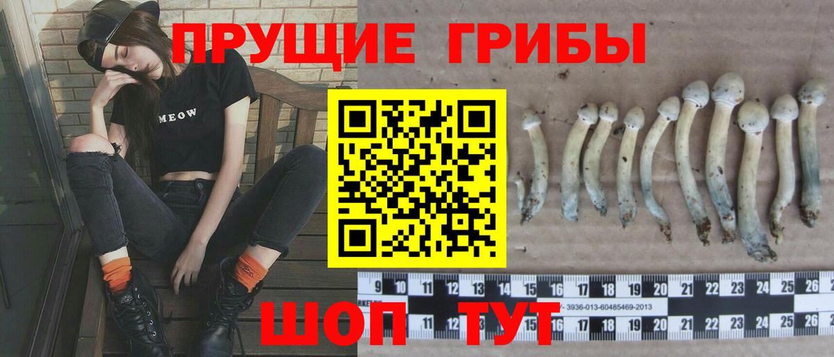 Галлюциногенные грибы мицелий  закладки  Альметьевск  Вход с VPN 